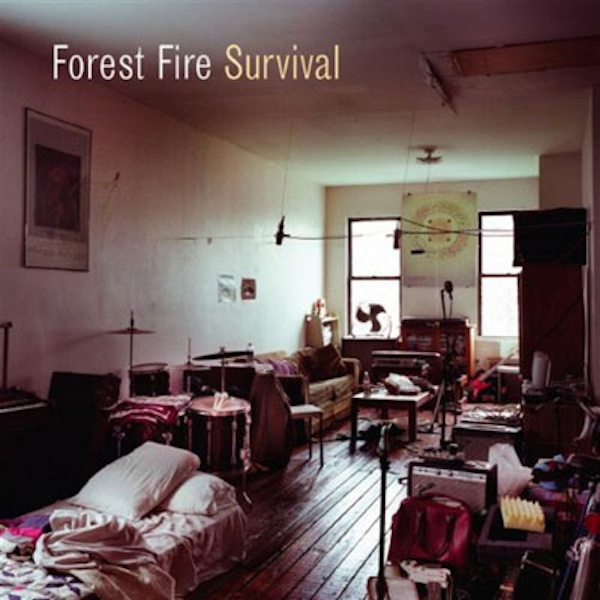 Forest Fire – Survival