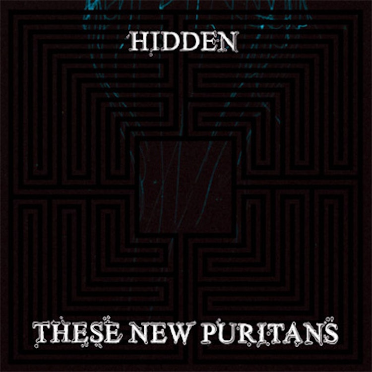 These New Puritans – Hidden