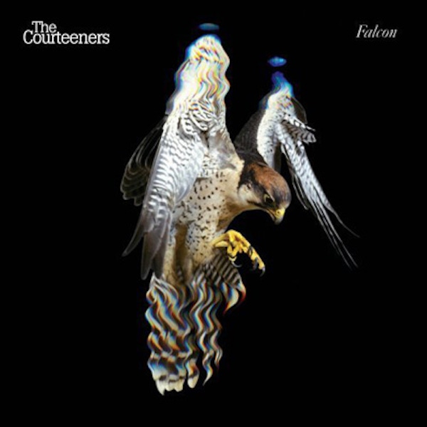 The Courteeners – Falcon