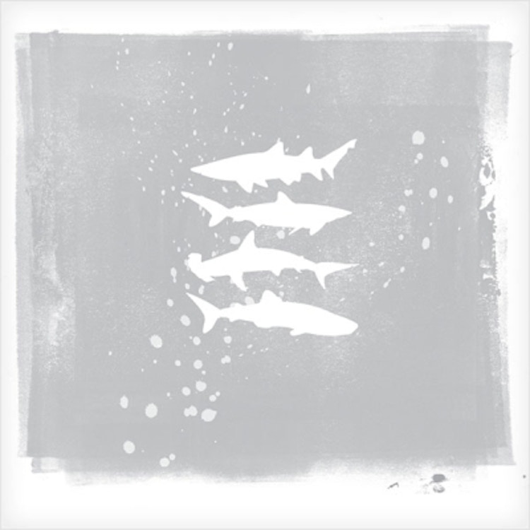 My Brightest Diamond – Shark Remixes