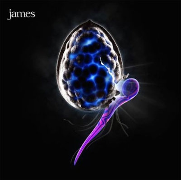 James – The Night Before