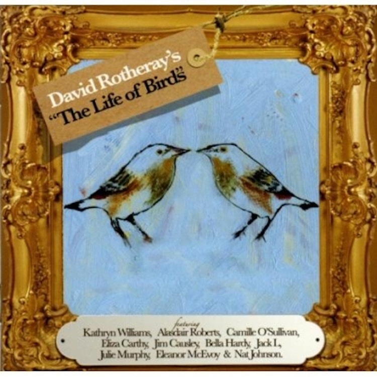 David Rotheray – The Life of Birds