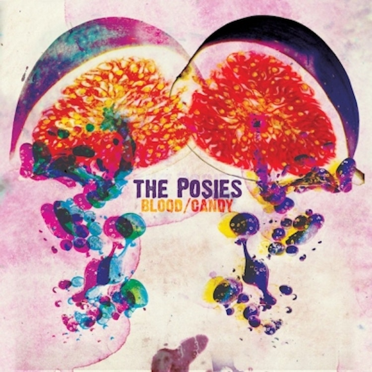 The Posies – Blood/Candy