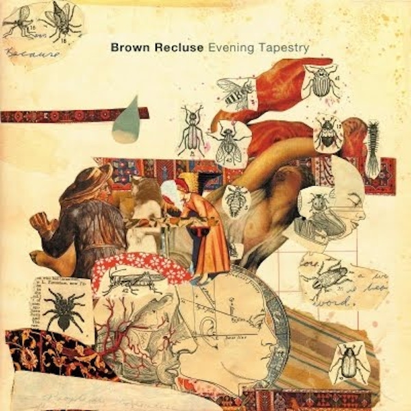Brown Recluse – Evening Tapestry