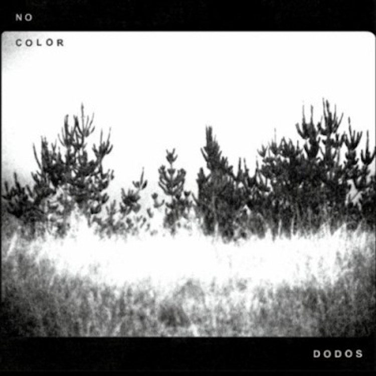 Dodos – No Color