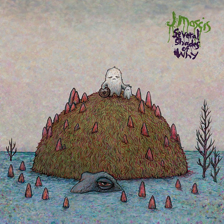 J Mascis – Several Shades of Why