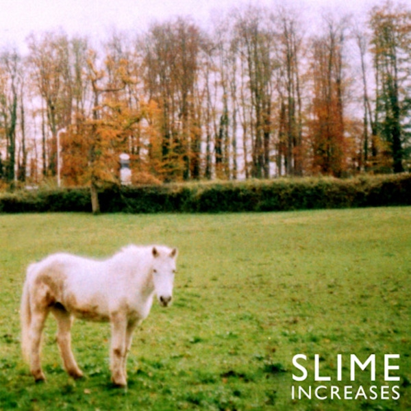 Slime – Increases