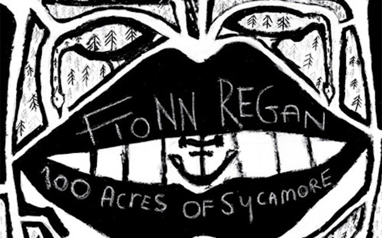 Fionn Regan – 100 Acres of Sycamore