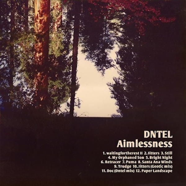 Dntel – Aimlessness