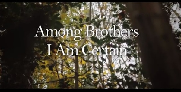 Among Brothers – I am Certain