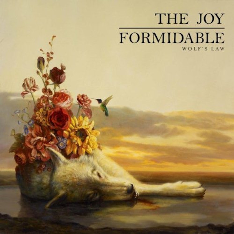 The Joy Formidable – Wolf's Law