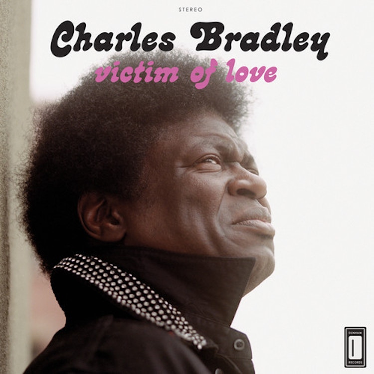 Charles Bradley – Victim of Love