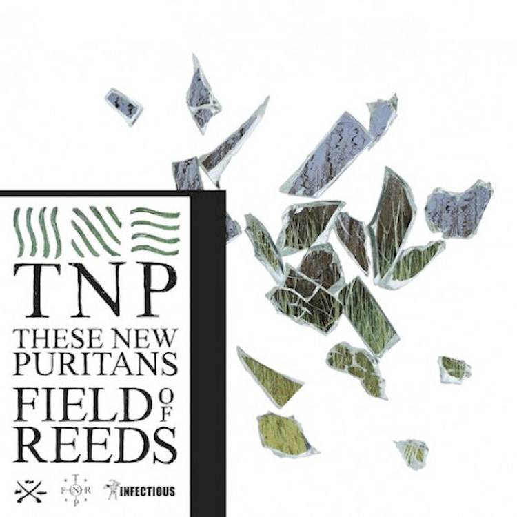 These New Puritans – Field of Reeds