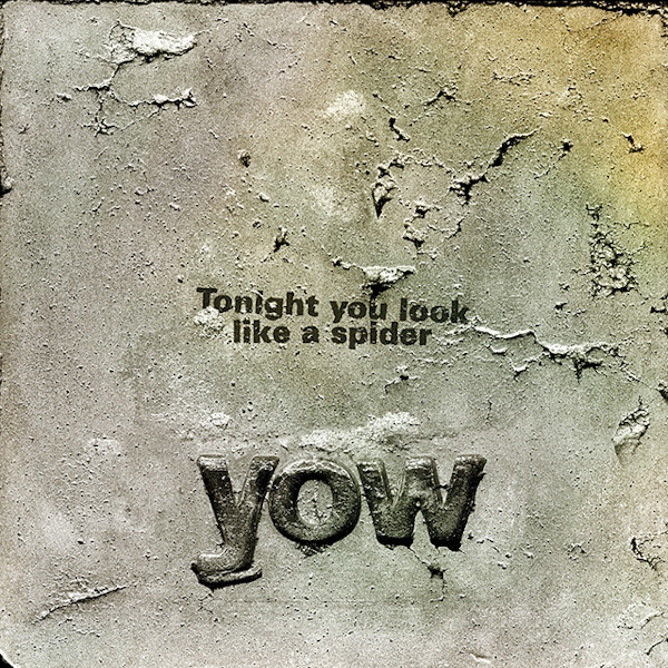 David Yow – Tonight You Look Like A Spider