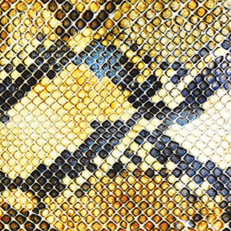 The Amazing Snakeheads – Amphetamine Ballads