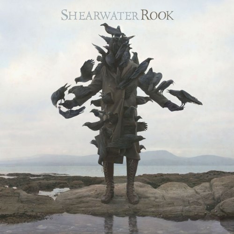 Shearwater – Rook