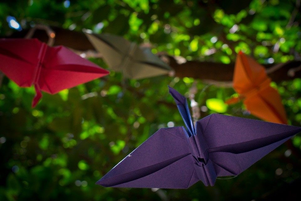 Origami birds in the forest
