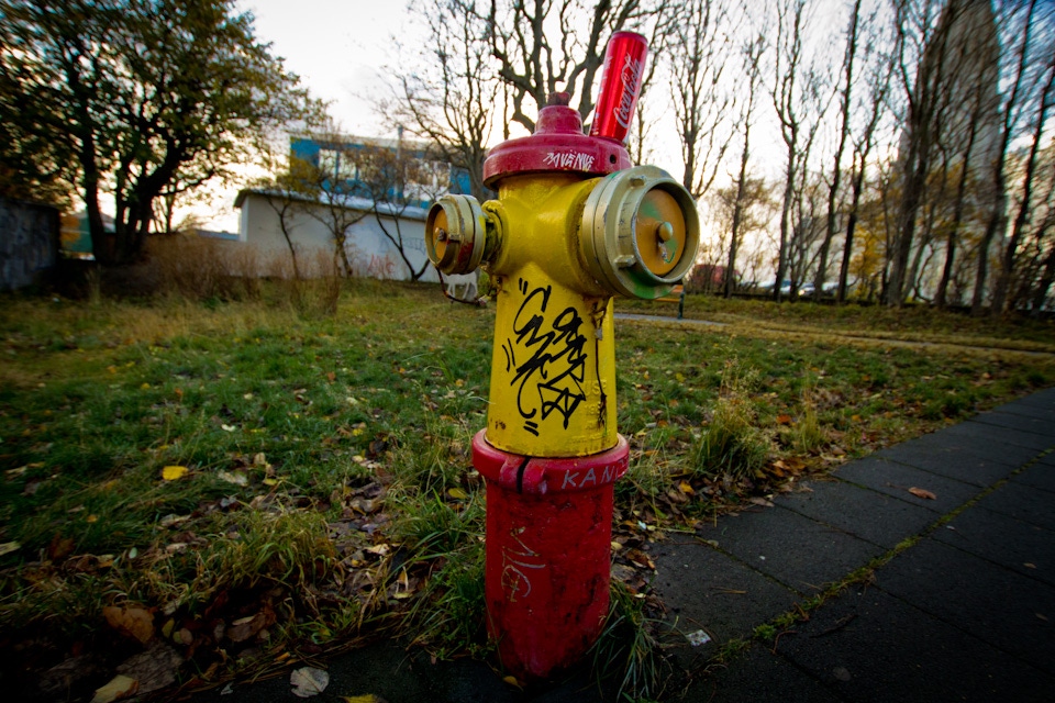We love Reykjavik’s fire hydrants!