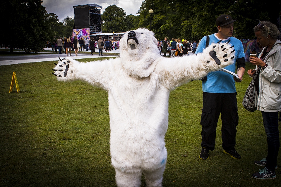 In Sweden it is so cold that polar bears attend the festivals.